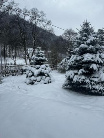 Patysiowka Villa สโตรเนีย ชล็องสเกีย ภายนอก รูปภาพ