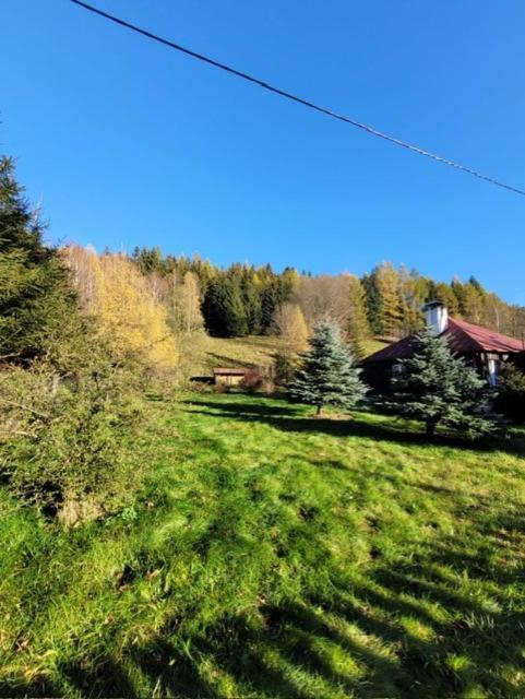 Patysiowka Villa สโตรเนีย ชล็องสเกีย ภายนอก รูปภาพ